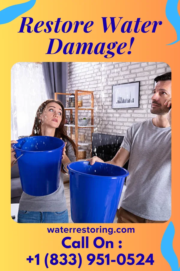 water restoration Best Flood Mitigation Experts Butlerville