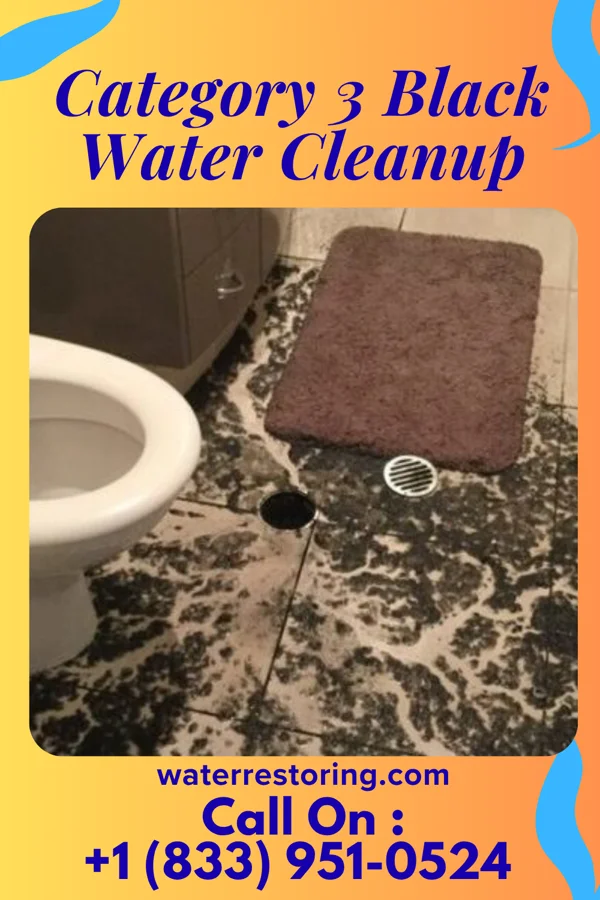 Category 3 Black Water Cleanup in Butlerville, OH