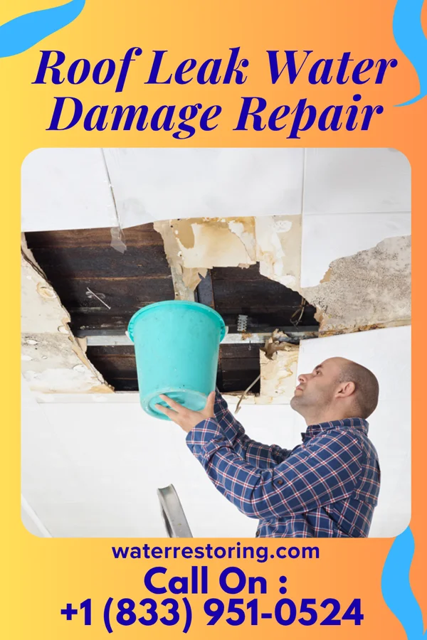 Roof Leak Water Damage Repair in Butlerville, OH